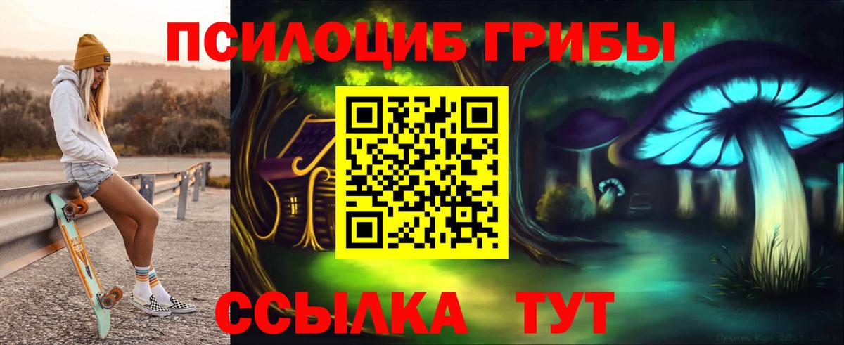 Псилоцибиновые грибы Psilocybine cubensis Ухта
